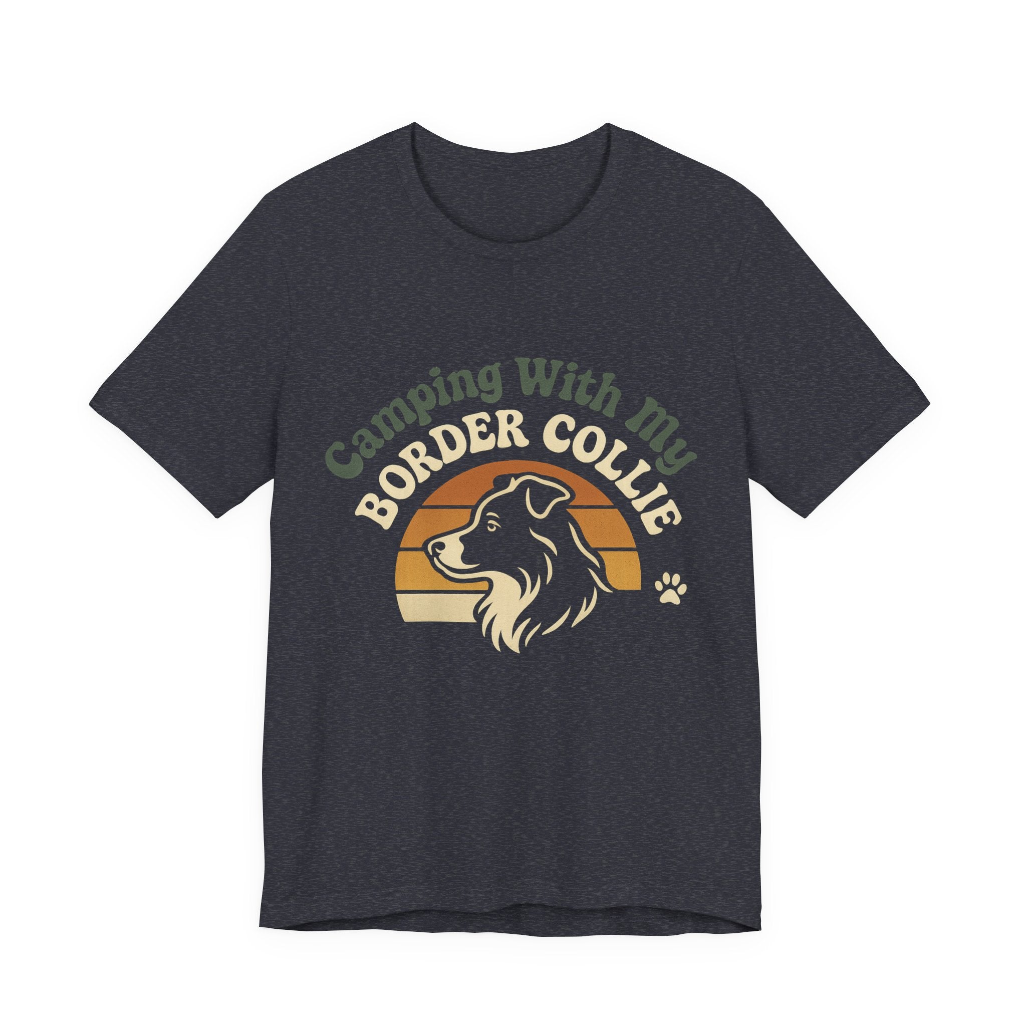 Camping Border Collie