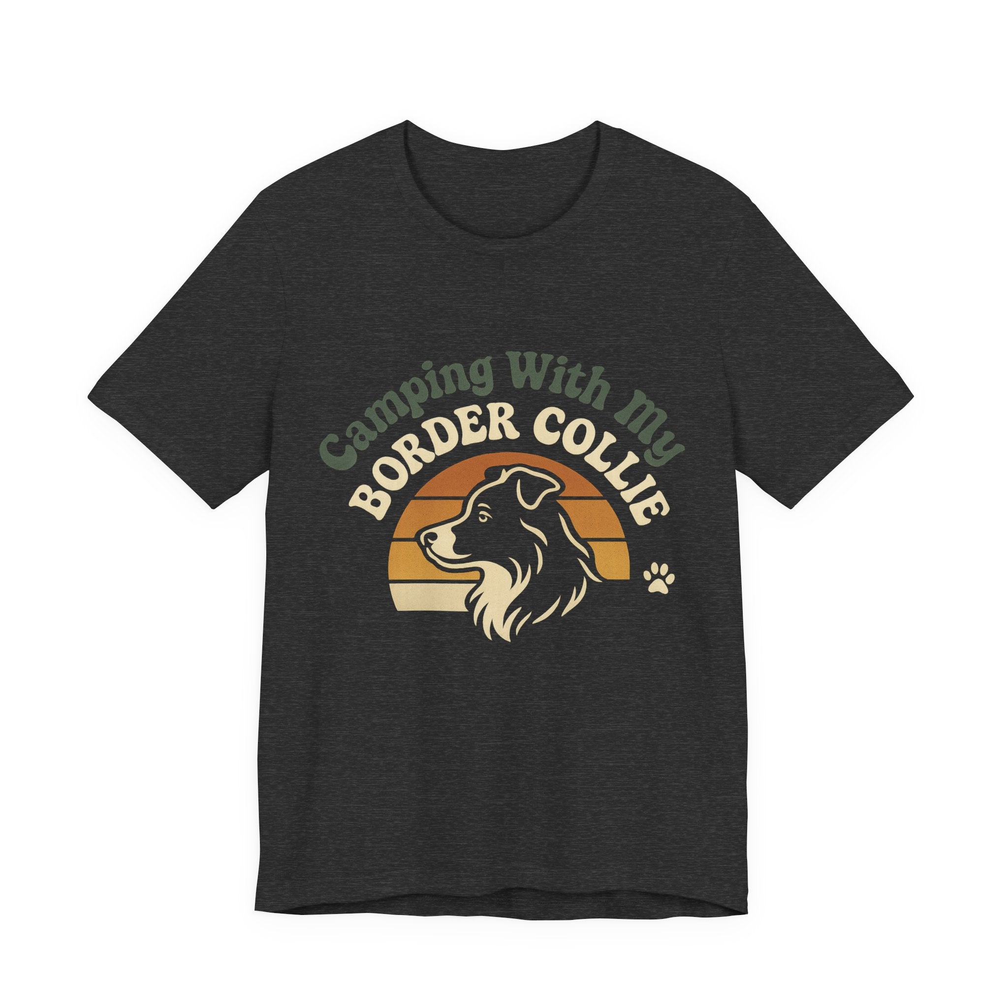 Camping Border Collie