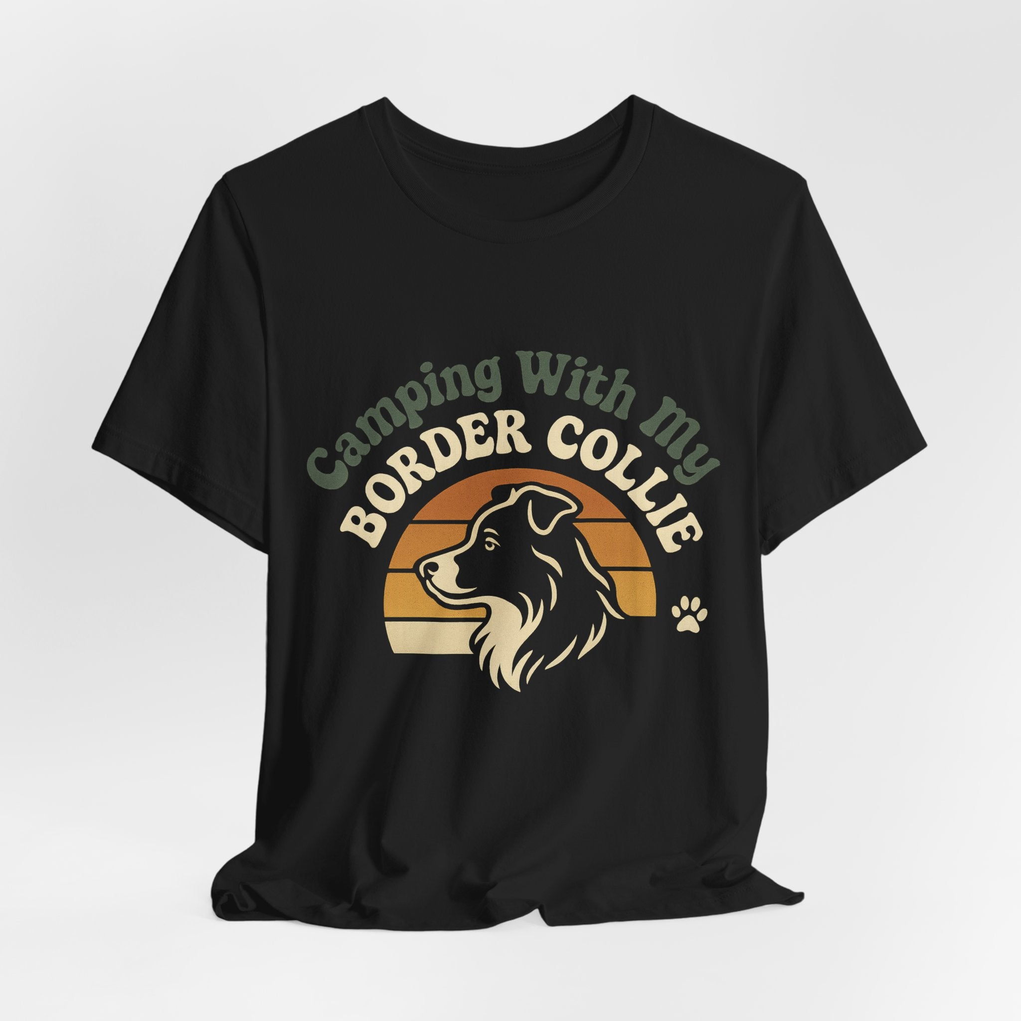 Camping Border Collie