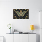 Nightbloom Nouveau Canvas — 24x24 Art Nouveau Moth & Crescent Wall Art