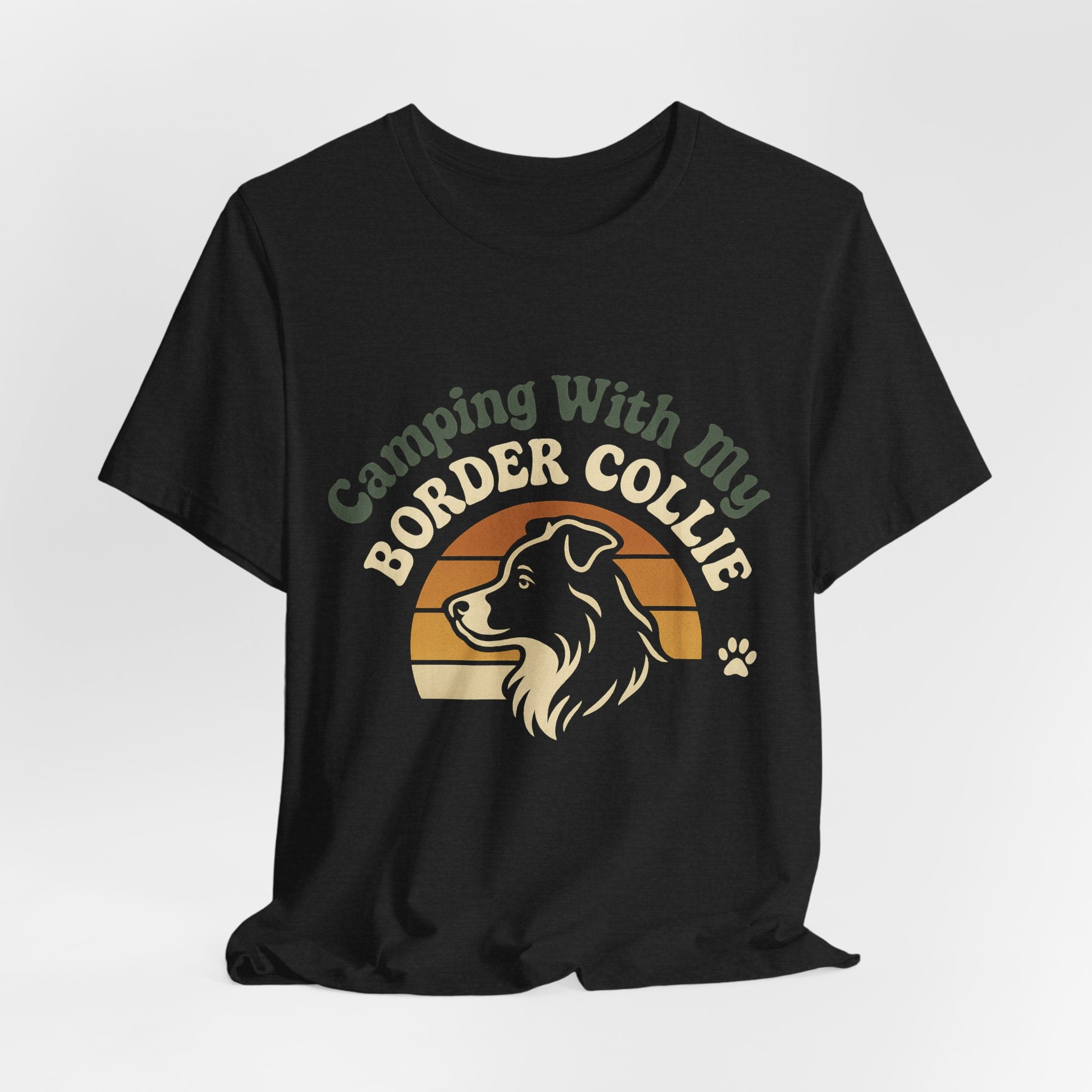 Camping Border Collie