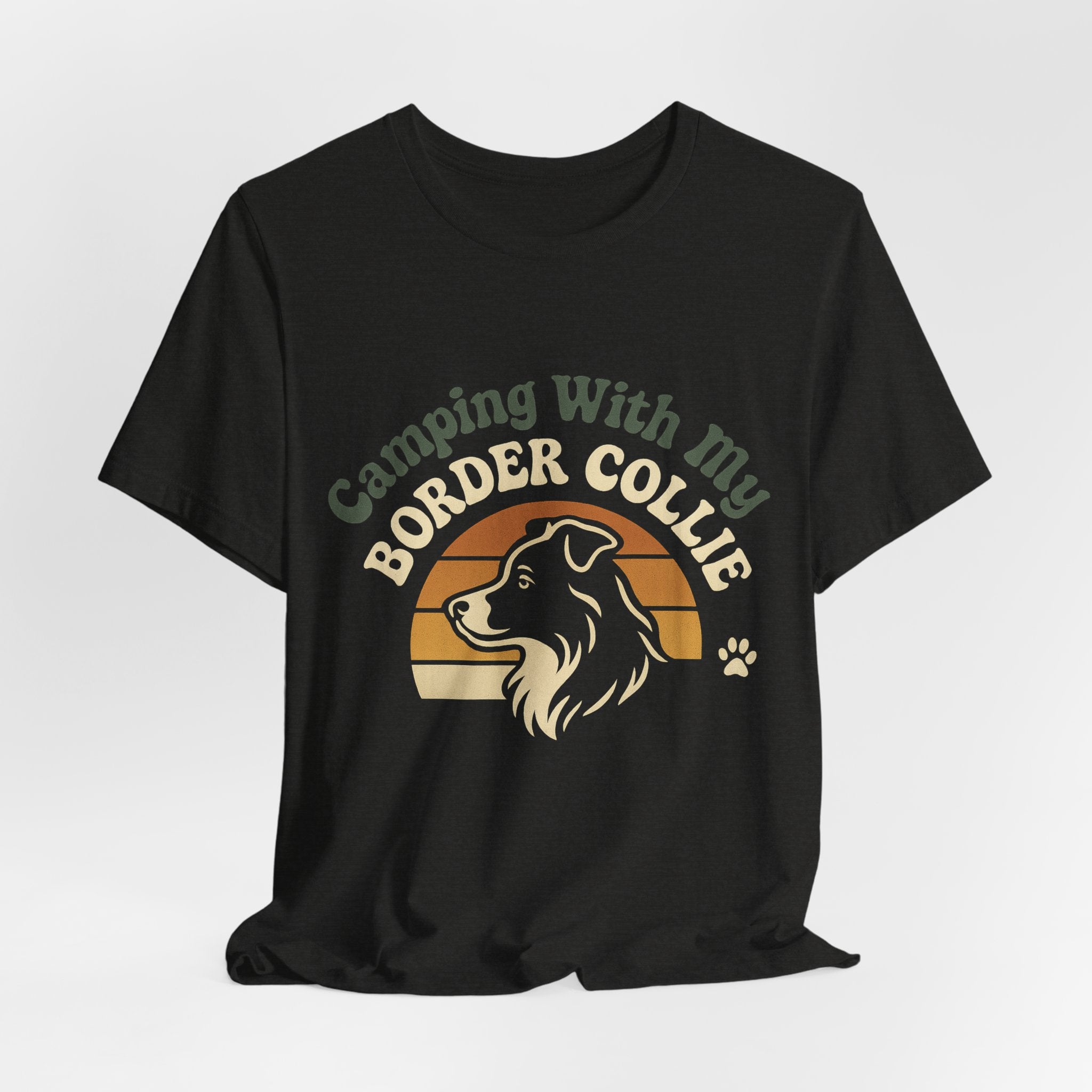 Camping Border Collie