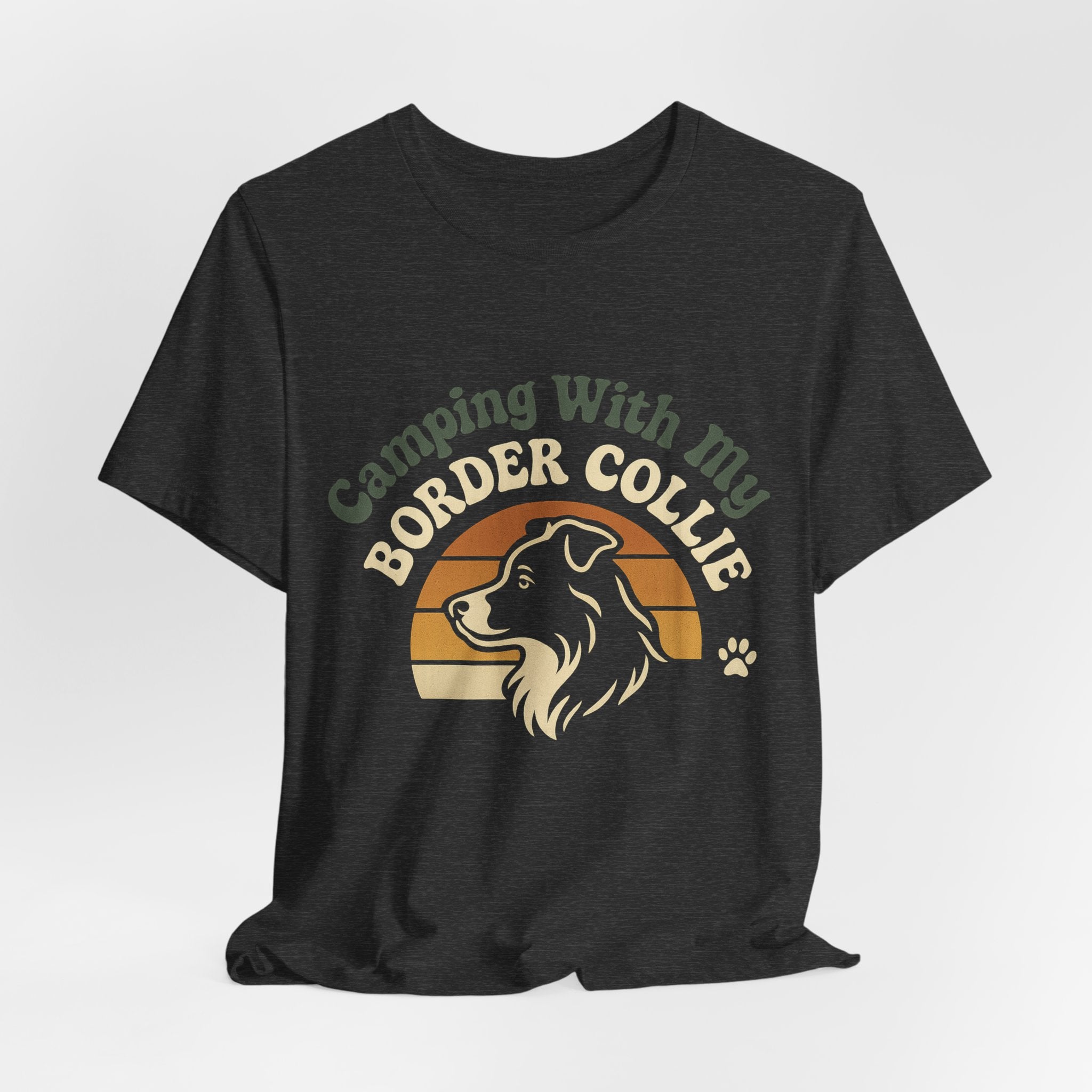 Camping Border Collie
